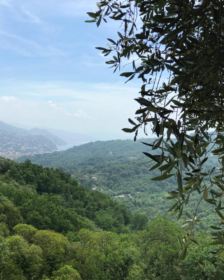 La Riviera Bed & Breakfast Rapallo Exterior foto