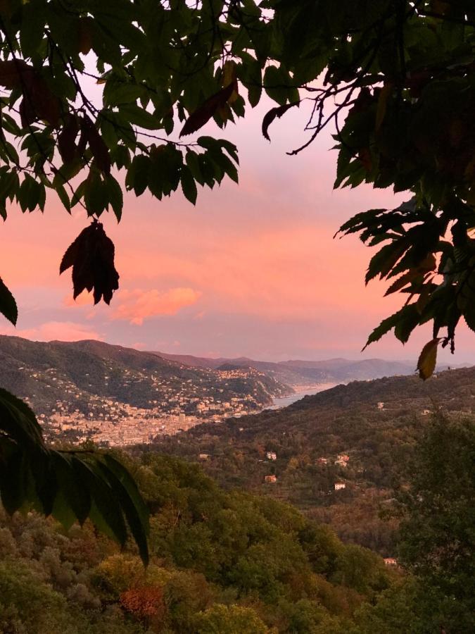 La Riviera Bed & Breakfast Rapallo Exterior foto