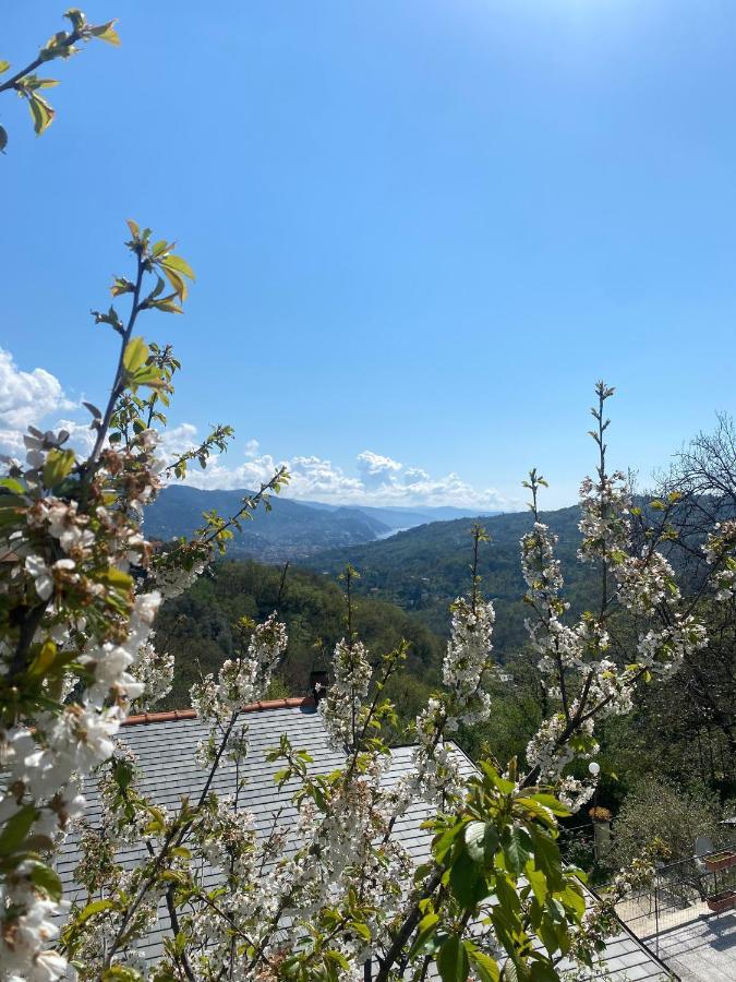 La Riviera Bed & Breakfast Rapallo Exterior foto